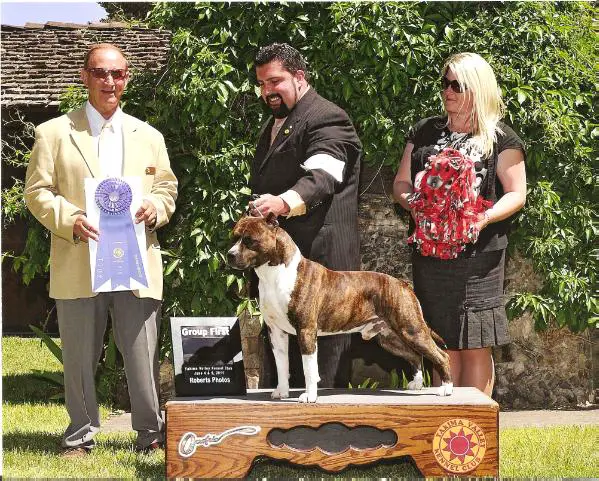 BIS,BISS GCH Alpine's Highwayman