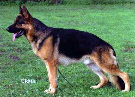 V Quoll von der Kahler Heide