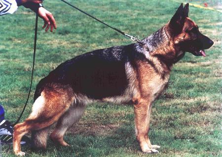 V Nanuka von Villanova