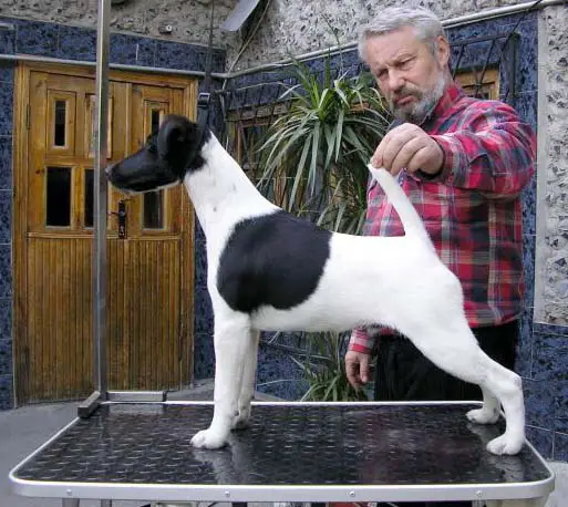 CH USA,UKR,INT,RUS Hopewell Envoy