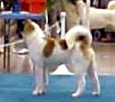 Scioto Bluff Sign O'The Times