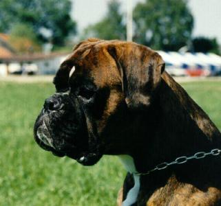 Ullrich vom Kiliansblick