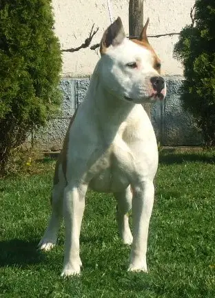 Emy of Valley Keeper