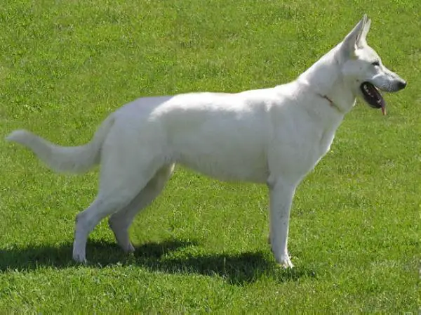 HJCH Danger Zone From Kontrastas