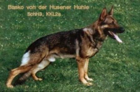 Basko von der Husener Mühle
