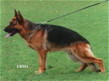 V6 (FRA) Pit du Clos du Schauenberg