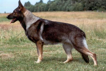 Deena von Bergblick