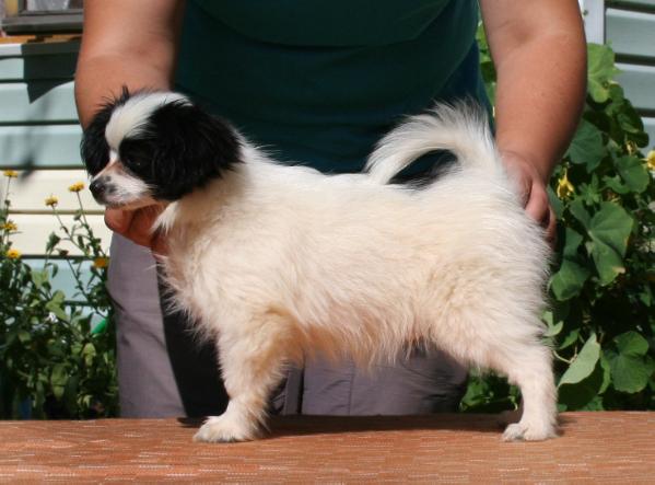 Zavist' Bogov Khip Khop