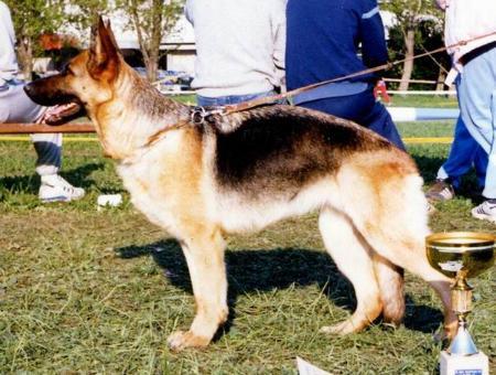 V Yana vom Hermannsgrund