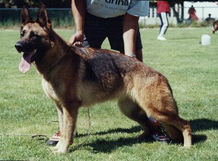 Kerrie de Montealoya