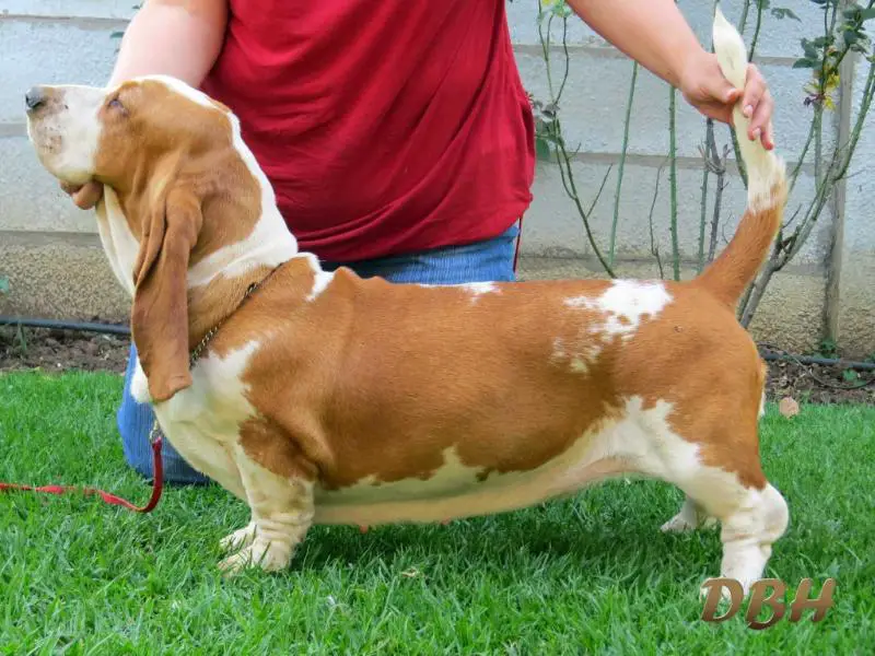 CH Stormwave Elbi of MiDestino