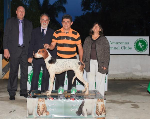 CH. Affra RB do Mundurucânia