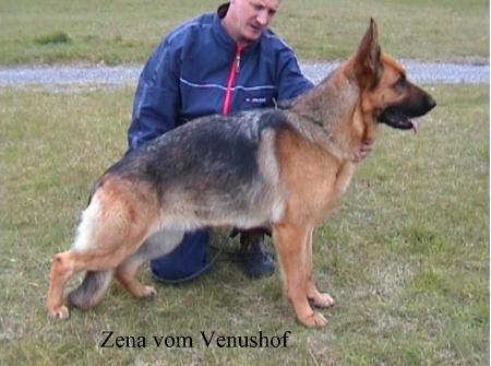 Zena vom Venushof