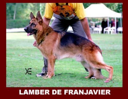 VA(SPAIN) Lamber de Franjavier