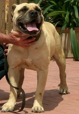 Zeus