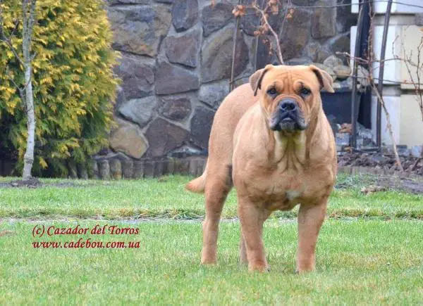 España de Almallutx