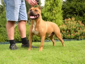 Ziena Van Het Daalhof