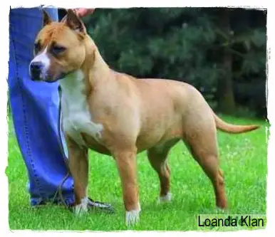 Echo Z doliny Jezierzycy Sentinel