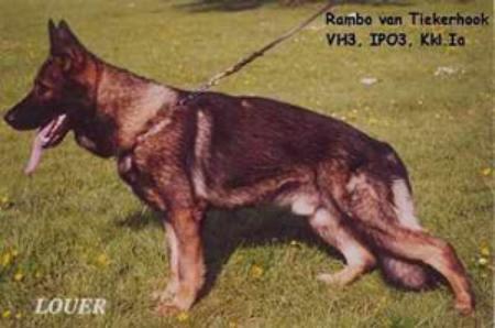 Rambo van Tiekerhook