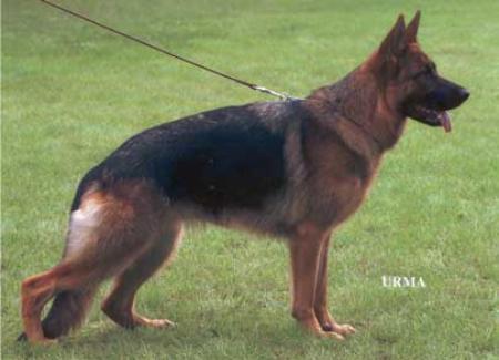 V Petrana von der Netheperle