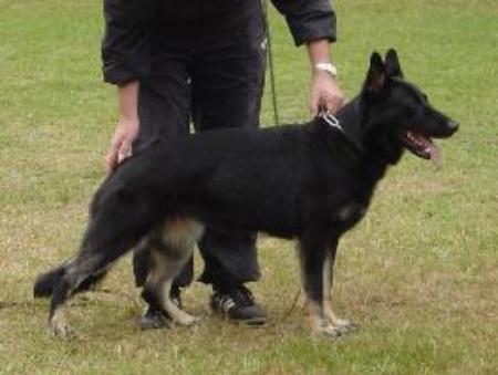 G Ulla von der Schiffslache