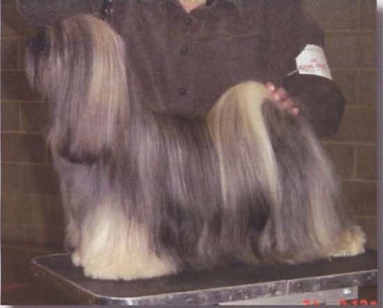 Sharil Sin-Sa Texas Express