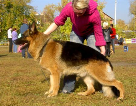 VA (RUS) Opal von Arlett