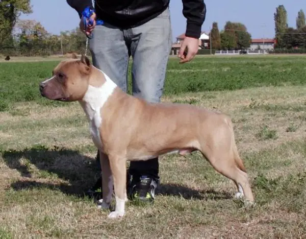 Wallz The Nature Boy