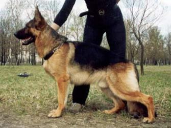 CH.RUS RFSS Zar von Deodatus