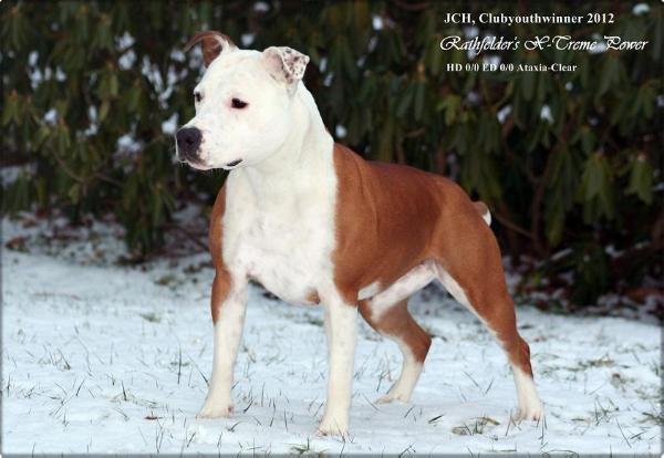 Rathfelder's X-Trem Power