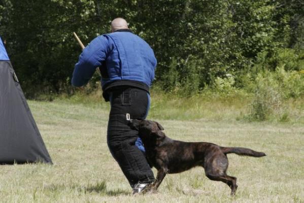 Copper Mountain's Ry