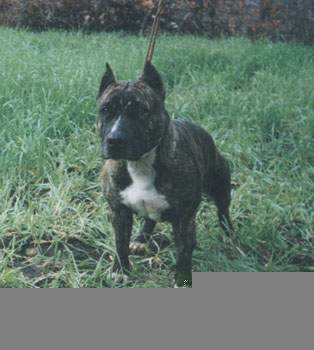 Jenny Des Dobs De La Loube