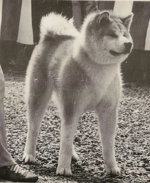 Tochihryu of Kaga Ikeuchi Kensha