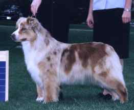 Calais CN A Mirage of Carolina