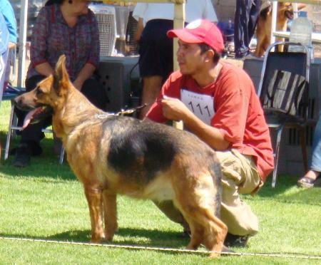 VA MEXICO Nicki v. Haus Bernal