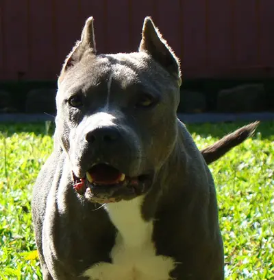 Kay Brubest New Kraftfeld