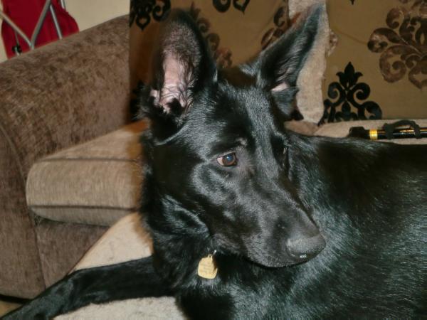 Kurt van Zieta's Hof