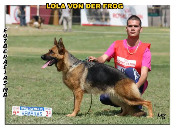 Lola von der frog