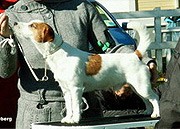 Little Bloopers Red Butler