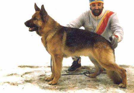 V88 Enno aus Nordrheinland