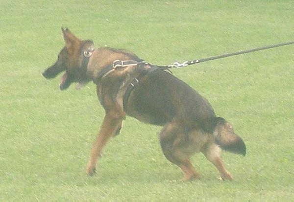 Canto spod Blanmontu