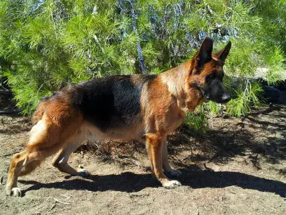 Rubi Von Blacksmith-Land