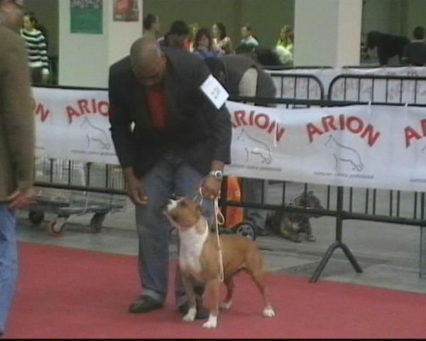 Ivory Coast Winning Boy