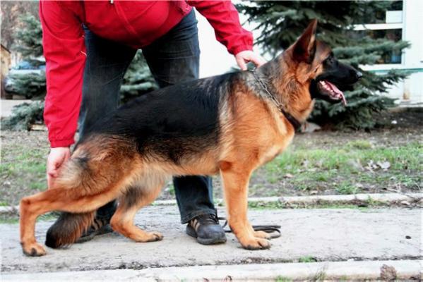 Itaka s Nizhnei Kamy