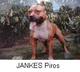 JANKES Piros