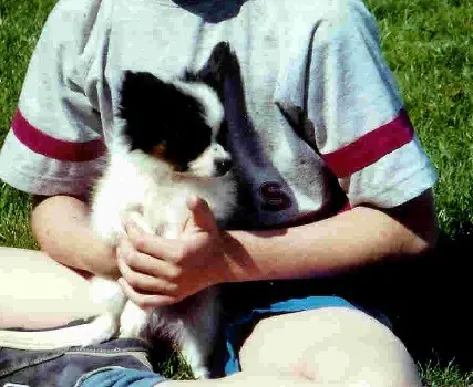 Theo Du Domaine De Montdenis