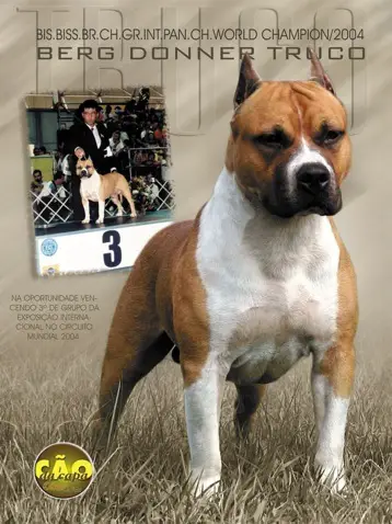 2004 WORLD WINNER Berg Donner'S Truco