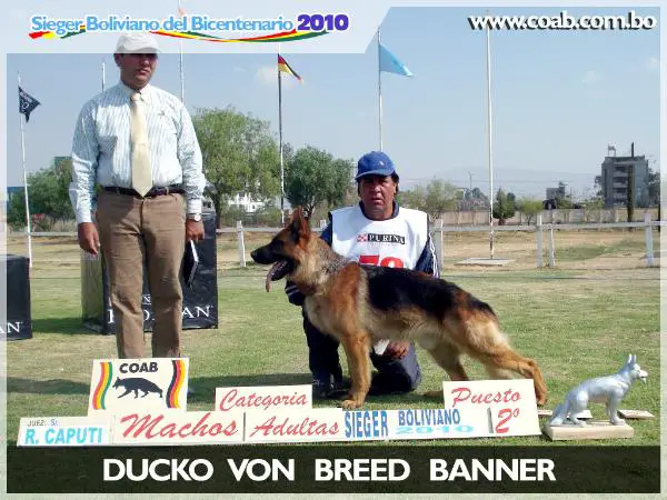 Ducko Von Bred Banner