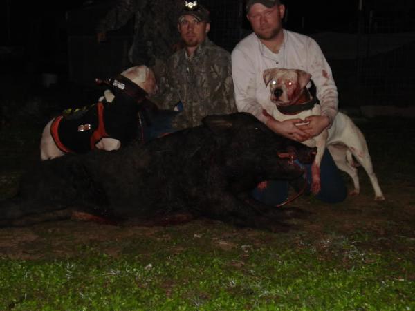 McQueen's Miss Molly of Holman