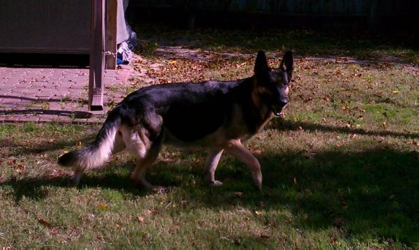 TX (US) Vilma Ulrika G-Val